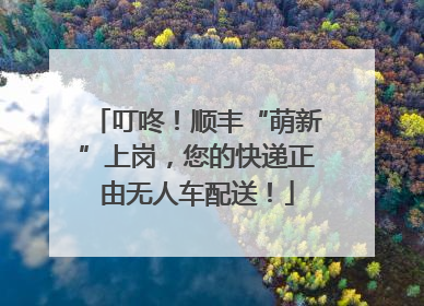 叮咚！顺丰“萌新”上岗，您的快递正由无人车配送！
