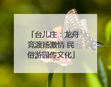 台儿庄：龙舟竞渡扬激情 民俗游园传文化