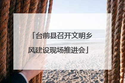 台前县召开文明乡风建设现场推进会