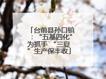 台前县孙口镇：“五基四化”为抓手 “三夏”生产保丰收