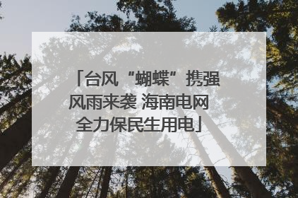 台风“蝴蝶”携强风雨来袭 海南电网全力保民生用电