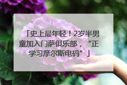 史上最年轻！2岁半男童加入门萨俱乐部，“正学习摩尔斯电码”