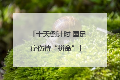 十天倒计时 国足疗伤待“拼命”
