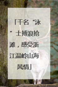千名“泳”士搏浪抢滩，感受浙江温岭山海风情