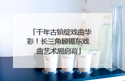 千年古镇绽戏曲华彩！长三角顾锡东戏曲艺术周启幕