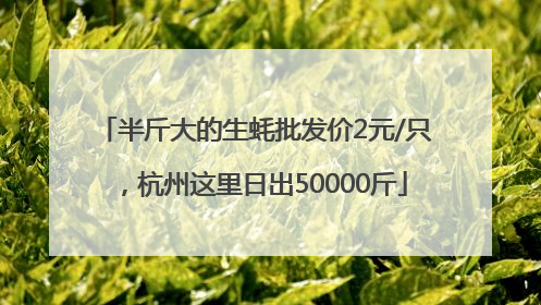 半斤大的生蚝批发价2元/只，杭州这里日出50000斤