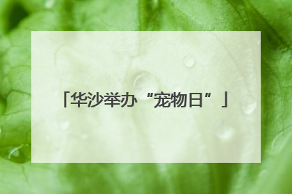 华沙举办“宠物日”