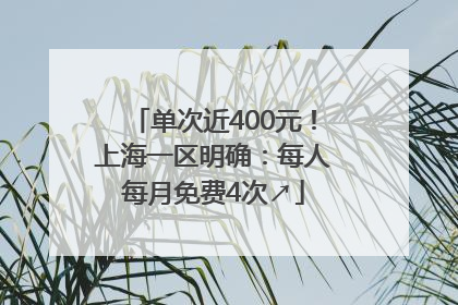单次近400元！上海一区明确：每人每月免费4次↗