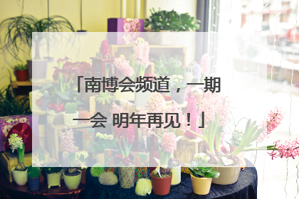 南博会频道，一期一会 明年再见！