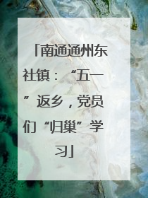 南通通州东社镇：“五一”返乡，党员们“归巢”学习