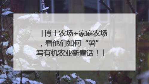 博士农场+家庭农场，看他们如何“薯” 写有机农业新童话！