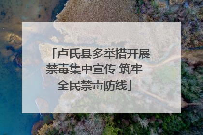 卢氏县多举措开展禁毒集中宣传 筑牢全民禁毒防线
