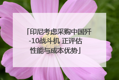 印尼考虑采购中国歼-10战斗机 正评估性能与成本优势