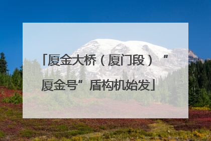 厦金大桥（厦门段）“厦金号”盾构机始发