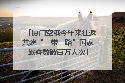 厦门空港今年来往返共建“一带一路”国家旅客数破百万人次