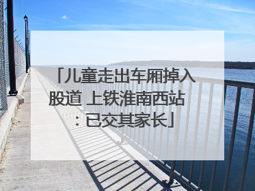 儿童走出车厢掉入股道 上铁淮南西站：已交其家长