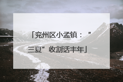 兖州区小孟镇：“三夏”收割话丰年