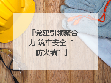 党建引领聚合力 筑牢安全“防火墙”