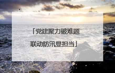 党建聚力破难题 联动防汛显担当