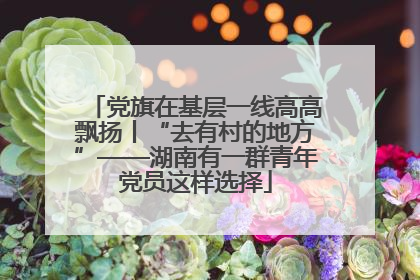 党旗在基层一线高高飘扬丨“去有村的地方”——湖南有一群青年党员这样选择