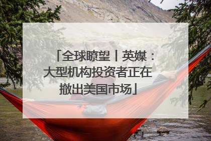 全球瞭望丨英媒：大型机构投资者正在撤出美国市场
