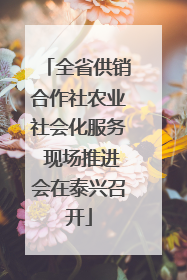 全省供销合作社农业社会化服务 现场推进会在泰兴召开