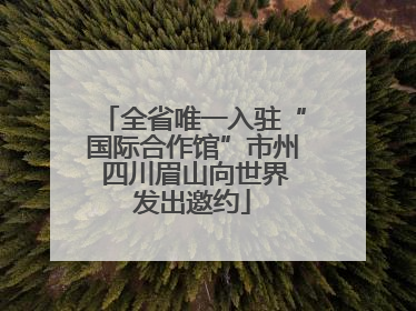 全省唯一入驻“国际合作馆”市州 四川眉山向世界发出邀约