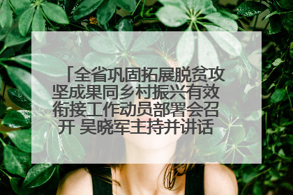 全省巩固拓展脱贫攻坚成果同乡村振兴有效衔接工作动员部署会召开 吴晓军主持并讲话 罗东川作安排部署