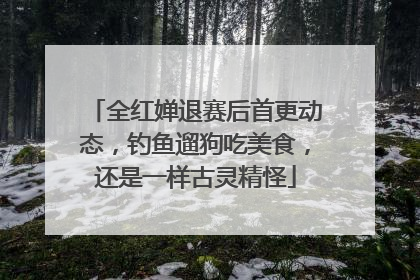 全红婵退赛后首更动态，钓鱼遛狗吃美食，还是一样古灵精怪