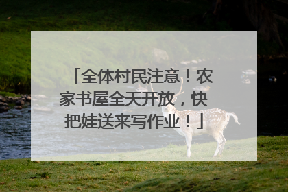 全体村民注意！农家书屋全天开放，快把娃送来写作业！