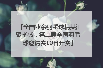 全国业余羽毛球精英汇聚孝感，第二届全国羽毛球邀请赛10日开赛