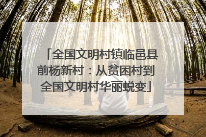 全国文明村镇临邑县前杨新村：从贫困村到全国文明村华丽蜕变