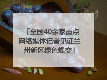 全国40余家重点网络媒体记者见证兰州新区绿色蝶变