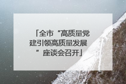全市“高质量党建引领高质量发展”座谈会召开