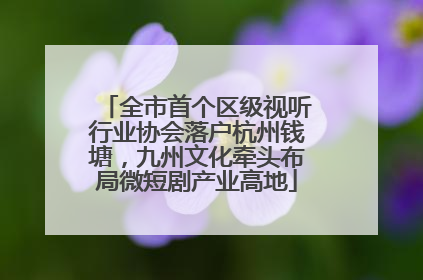 全市首个区级视听行业协会落户杭州钱塘，九州文化牵头布局微短剧产业高地