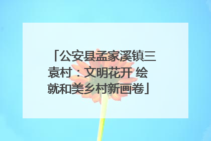 公安县孟家溪镇三袁村：文明花开 绘就和美乡村新画卷