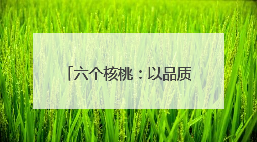 六个核桃：以品质筑基、创新领航的植物蛋白饮品标杆