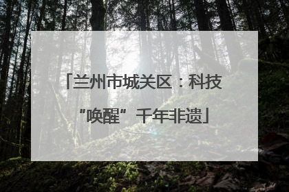 兰州市城关区：科技“唤醒”千年非遗
