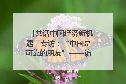 共话中国经济新机遇｜专访：“中国是可靠的朋友”——访马来西亚种植及原产业部副部长陈泓缣