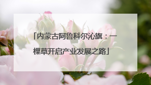 内蒙古阿鲁科尔沁旗：一棵草开启产业发展之路