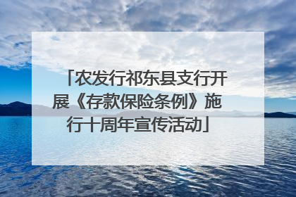 农发行祁东县支行开展《存款保险条例》施行十周年宣传活动