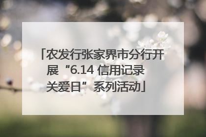 农发行张家界市分行开展“6.14 信用记录关爱日”系列活动
