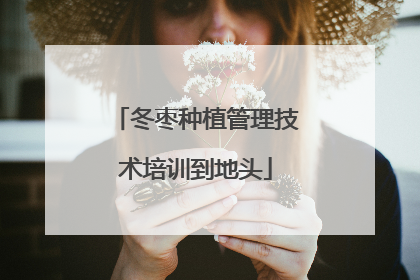 冬枣种植管理技术培训到地头