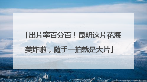 出片率百分百！昆明这片花海美炸啦，随手一拍就是大片