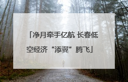 净月牵手亿航 长春低空经济“添翼”腾飞