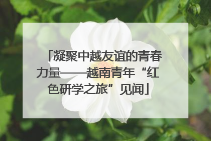 凝聚中越友谊的青春力量——越南青年“红色研学之旅”见闻