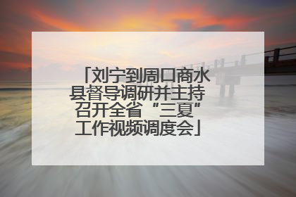 刘宁到周口商水县督导调研并主持召开全省“三夏”工作视频调度会