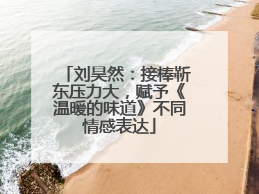 刘昊然：接棒靳东压力大，赋予《温暖的味道》不同情感表达