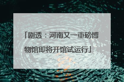 剧透：河南又一重磅博物馆即将开馆试运行