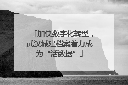加快数字化转型，武汉城建档案着力成为“活数据”